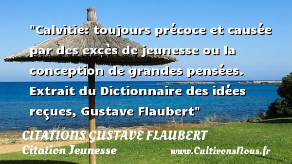 citations gustave flaubert
