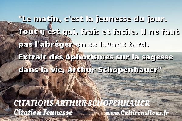 citations arthur schopenhauer