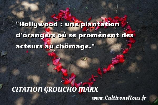 Hollywood : une plantation d orangers où se promènent des acteurs au chômage. Une citation de Groucho Marx CITATION GROUCHO MARX