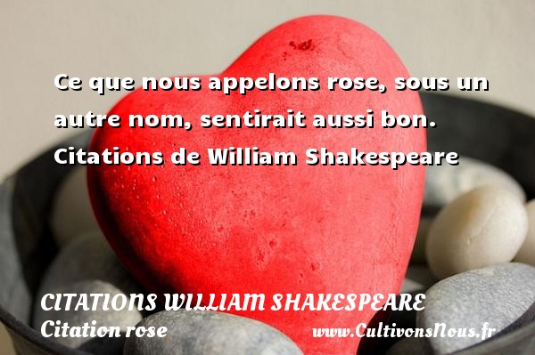 Ce que nous appelons rose, sous un autre nom, sentirait aussi bon.    Citations   de William Shakespeare CITATIONS WILLIAM SHAKESPEARE - Citation rose
