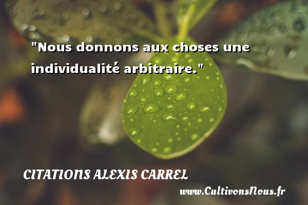 Nous donnons aux choses une individualité arbitraire. Une citation d  Alexis Carrel CITATIONS ALEXIS CARREL