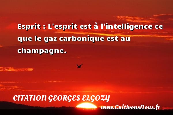 Esprit : L esprit est à l intelligence ce que le gaz carbonique est au champagne. Une citation de Georges Elgozy CITATION GEORGES ELGOZY