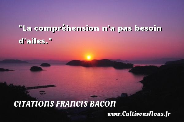 La compréhension n a pas besoin d ailes. Une citation de Francis Bacon CITATIONS FRANCIS BACON