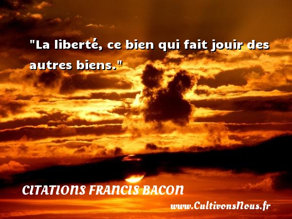 La liberté, ce bien qui fait jouir des autres biens. Une citation de Francis Bacon CITATIONS FRANCIS BACON