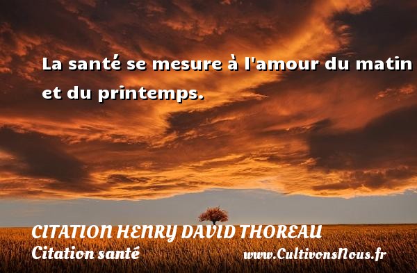 La santé se mesure à l amour du matin et du printemps. Une citation de Henry David Thoreau CITATION HENRY DAVID THOREAU - Citation matin - Citation santé