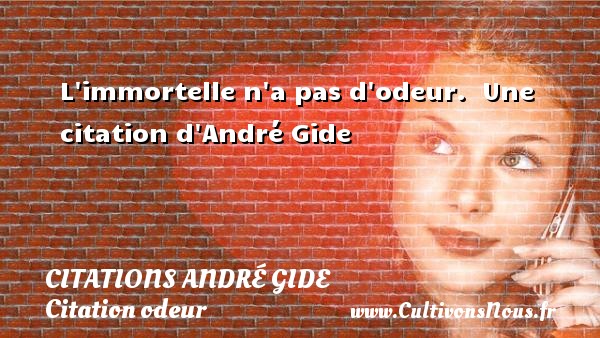 L immortelle n a pas d odeur.   Une  citation  d André Gide CITATIONS ANDRÉ GIDE - Citations André Gide - Citation odeur