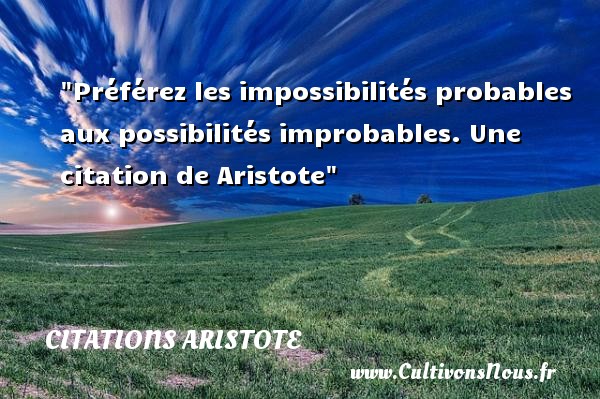 Préférez les impossibilités probables aux possibilités improbables.  Une  citation  de Aristote CITATIONS ARISTOTE