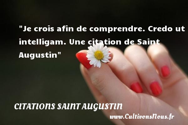 Je crois afin de comprendre.  Credo ut intelligam.  Une  citation  de Saint Augustin CITATIONS SAINT AUGUSTIN - Citation comprendre
