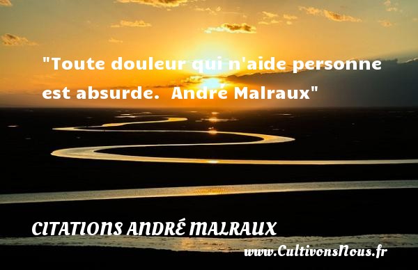 Toute douleur qui n aide personne est absurde.   André Malraux CITATIONS ANDRÉ MALRAUX - Citations André Malraux