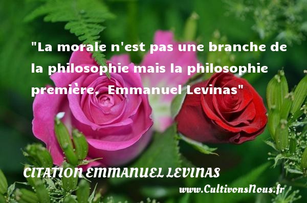 La morale n est pas une branche de la philosophie mais la philosophie première.   Emmanuel Levinas   Une citation sur la philosophie CITATION EMMANUEL LEVINAS - Citation philosophie