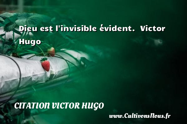 Dieu est l invisible évident.   Victor Hugo CITATION VICTOR HUGO