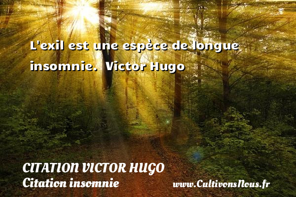 L exil est une espèce de longue insomnie.   Victor Hugo CITATION VICTOR HUGO - Citation insomnie