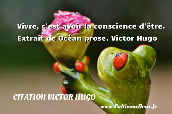 Vivre, c est avoir la conscience d être.  Extrait de Océan prose. Victor Hugo CITATION VICTOR HUGO