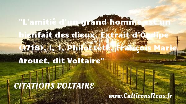 L amitié d un grand homme est un bienfait des dieux.  Extrait d Oedipe (1718), I, 1, Philoctète, François Marie Arouet, dit Voltaire   Une citation sur l amitié CITATIONS VOLTAIRE - Citation Amitié