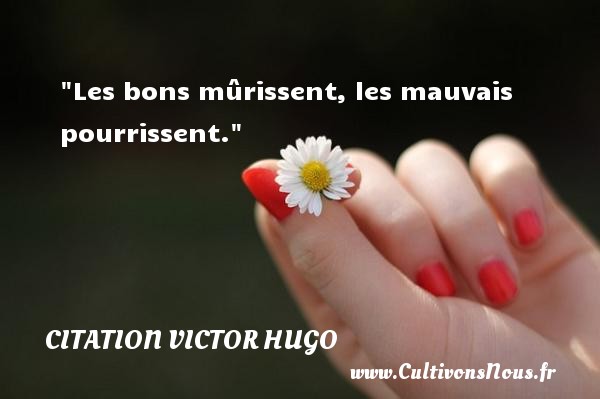 Les bons mûrissent, les mauvais pourrissent.   Une citation de Victor Hugo     CITATION VICTOR HUGO - Citations homme