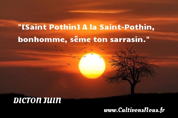 [Saint Pothin] A la Saint-Pothin, bonhomme, sême ton sarrasin. Un dicton juin 