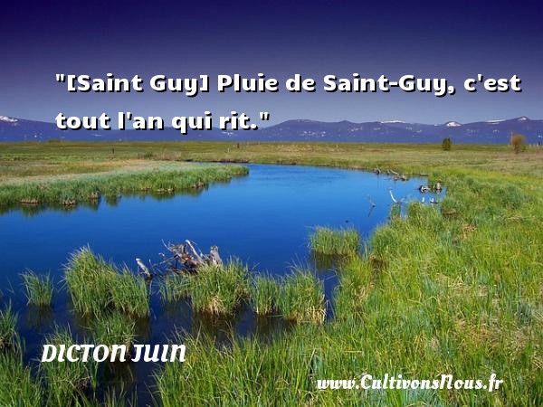 [Saint Guy] Pluie de Saint-Guy, c est tout l an qui rit. Un dicton juin 