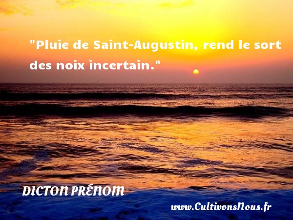 Pluie de Saint-Augustin, rend le sort des noix incertain. Un dicton prénom DICTON PRÉNOM