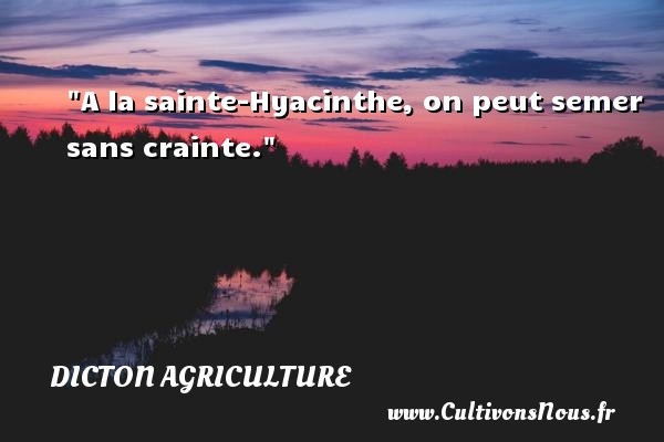 A la sainte-Hyacinthe, on peut semer sans crainte. Un dicton agriculture 