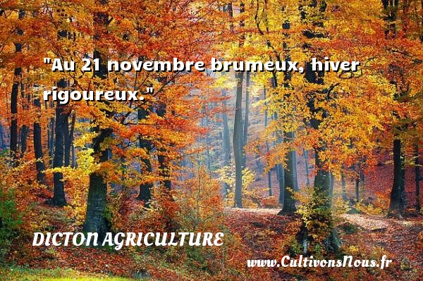 Au 21 novembre brumeux, hiver rigoureux. Un dicton agriculture 
