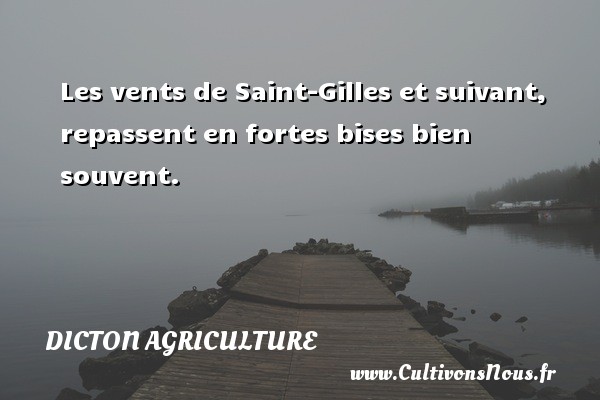 Les vents de Saint-Gilles et suivant, repassent en fortes bises bien souvent. Un dicton agriculture 