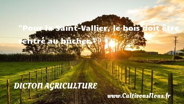 Pour la Saint-Vallier, le bois doit être rentré au bûcher. Un dicton agriculture 