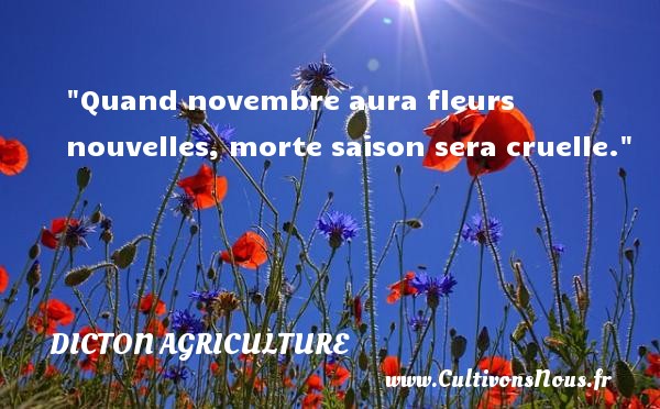 Quand novembre aura fleurs nouvelles, morte saison sera cruelle. Un dicton agriculture 