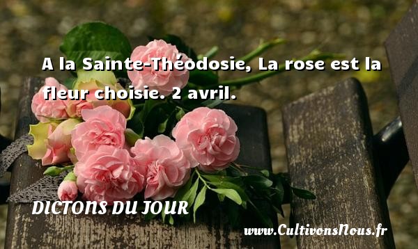 A la Sainte-Théodosie, La rose est la fleur choisie.  2 avril. Un dicton français DICTONS DU JOUR