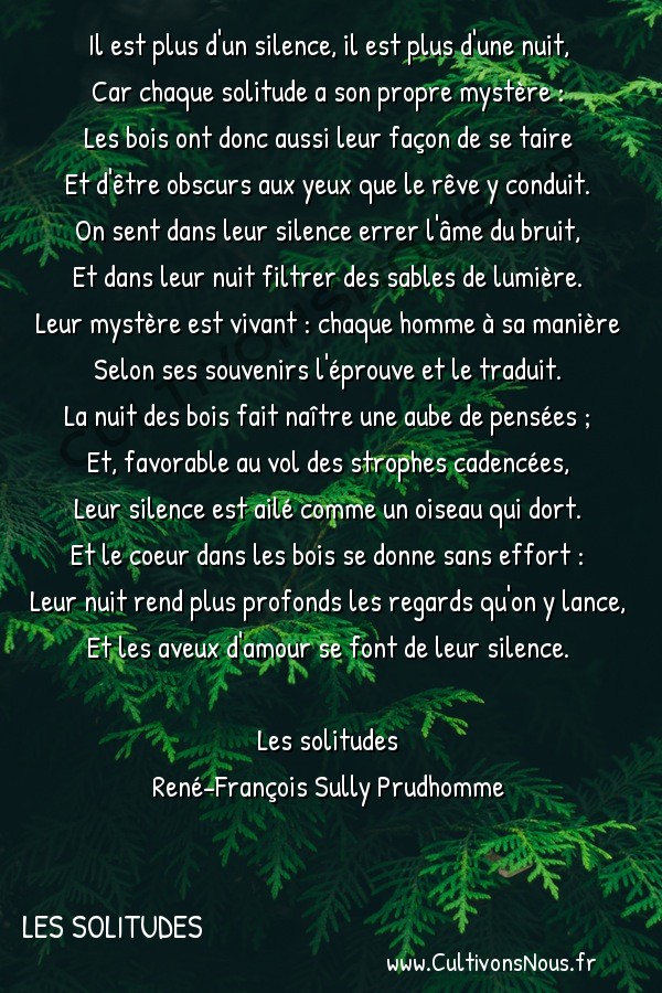  Poésie René-François Sully Prudhomme - Les solitudes - Silence et nuit des bois -  Il est plus d'un silence, il est plus d'une nuit, Car chaque solitude a son propre mystère :
