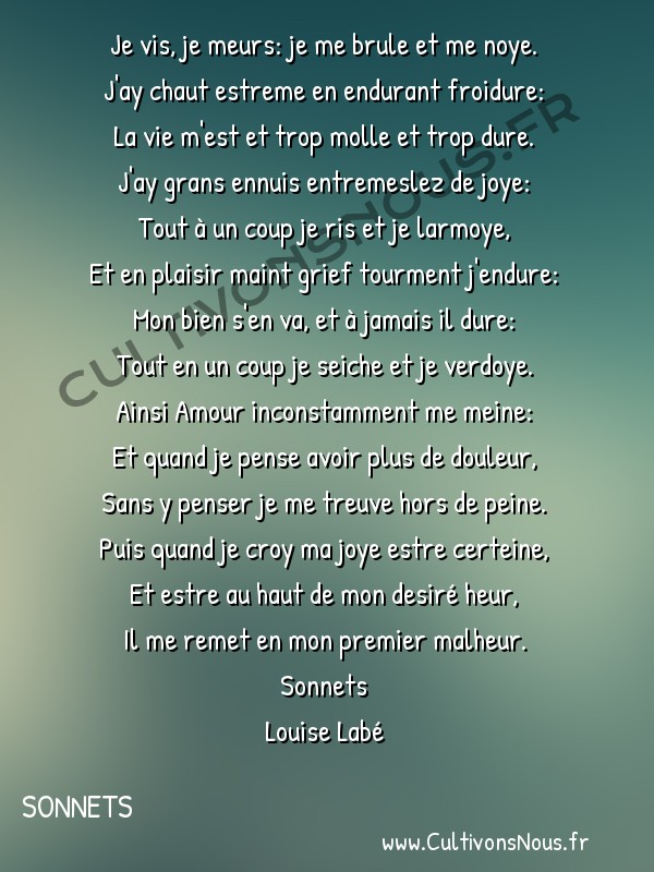  Poésie Louise Labé - Sonnets - Je vis je meurs: je me brule et me noye. -  Je vis, je meurs: je me brule et me noye. J'ay chaut estreme en endurant froidure: