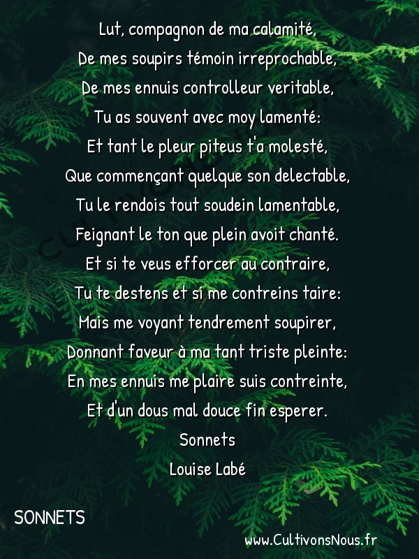  Poésie Louise Labé - Sonnets - Lut compagnon de ma calamité -  Lut, compagnon de ma calamité, De mes soupirs témoin irreprochable,
