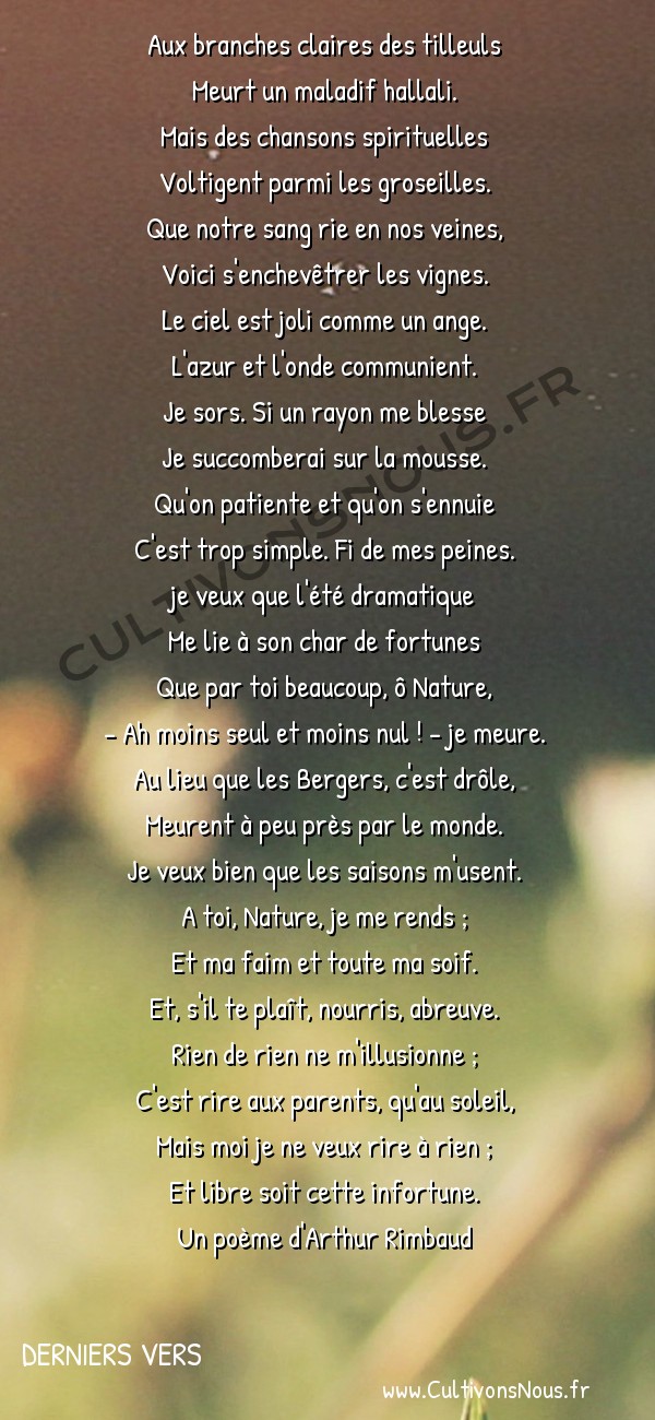  Poésies Arthur Rimbaud - Derniers vers - Bannières de mai -  Aux branches claires des tilleuls Meurt un maladif hallali.