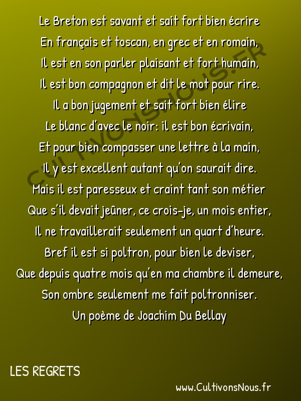  Poésie Joachim Du Bellay - Les Regrets - Le Breton est savant et sait fort bien écrire -  Le Breton est savant et sait fort bien écrire En français et toscan, en grec et en romain,
