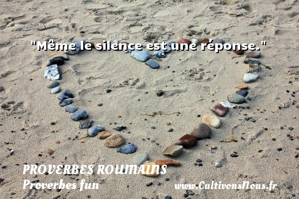 Même le silence est une réponse. Un Proverbe roumain PROVERBES ROUMAINS - Proverbes fun - Proverbes philosophiques