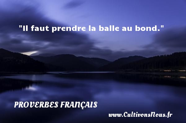 Il faut prendre la balle au bond.  Un proverbe français PROVERBES FRANÇAIS - Proverbes français