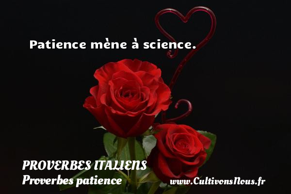 Patience mène à science.   Un proverbe italien PROVERBES ITALIENS - Proverbes patience