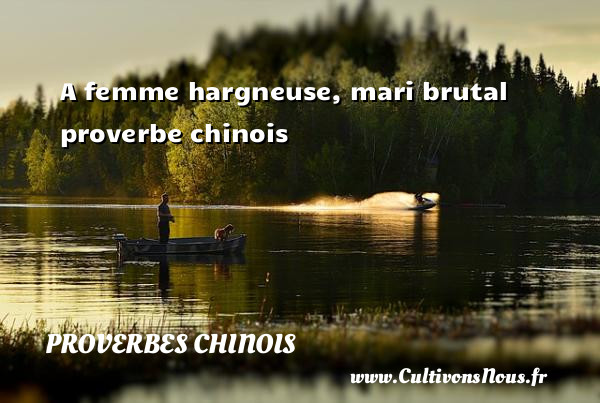 A femme hargneuse, mari brutal   proverbe chinois  PROVERBES CHINOIS