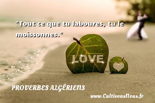 Tout ce que tu laboures, tu le moissonnes. Un Proverbe Algérien PROVERBES ALGÉRIENS - Proverbes Algériens - Proverbes philosophiques