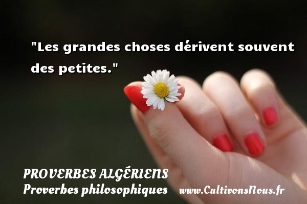 Les grandes choses dérivent souvent des petites.  Un Proverbe Algérien PROVERBES ALGÉRIENS - Proverbes Algériens - Proverbes philosophiques