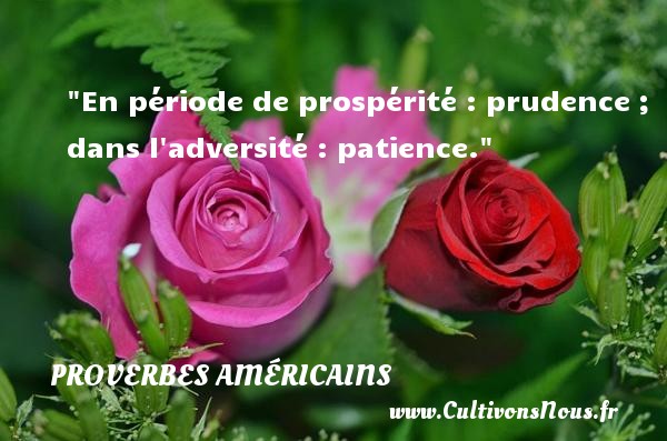 En période de prospérité : prudence ; dans l adversité : patience. Un Proverbe américain PROVERBES AMÉRICAINS - Proverbes américains - Proverbes philosophiques