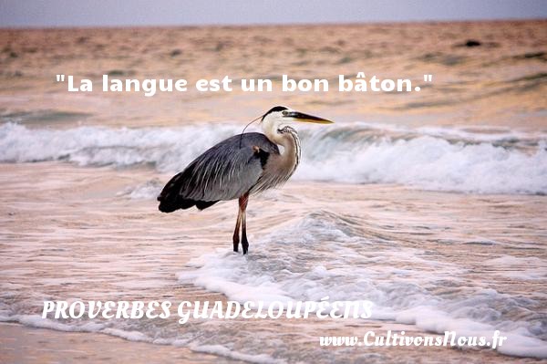 La langue est un bon bâton. Un Proverbe guadeloupéen PROVERBES GUADELOUPÉENS - Proverbes guadeloupéens