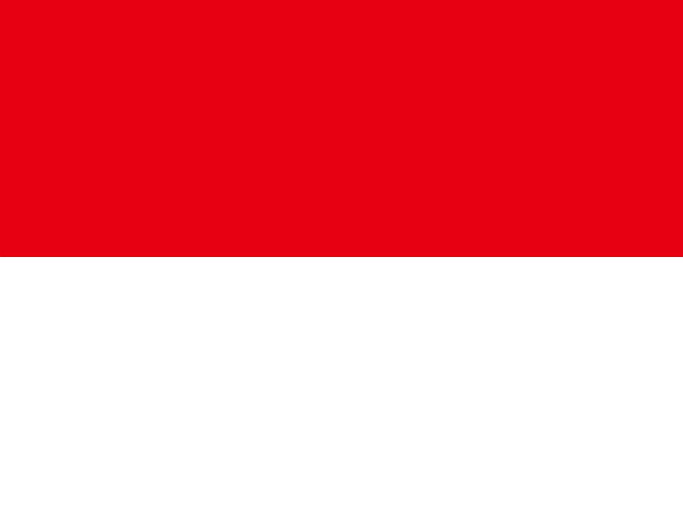 Drapeau Indonésie - Le drapeau indonésien