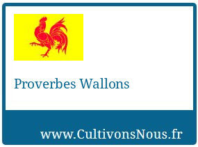 Proverbes Wallons