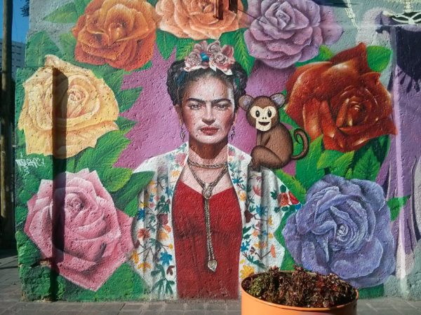 Musée Frida Kahlo à Mexico City