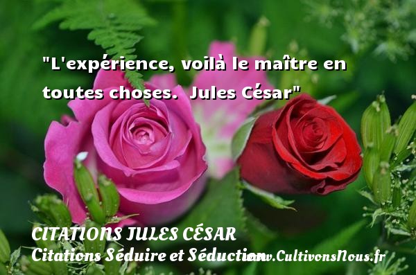 L expérience, voilà le maître en toutes choses.  Jules César CITATIONS JULES CÉSAR - Citations Jules César - Citations Séduire et Séduction