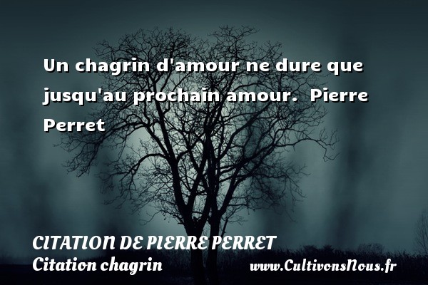 Un chagrin d amour ne dure que jusqu au prochain amour.  Pierre Perret CITATION DE PIERRE PERRET - Citation chagrin