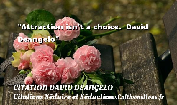 Attraction isn t a choice.  David Deangelo CITATION DAVID DEANGELO - Citations Séduire et Séduction