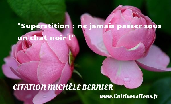 Superstition : ne jamais passer sous un chat noir ! CITATION MICHÈLE BERNIER - Citation Michèle Bernier
