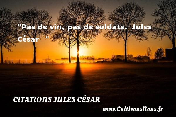 Pas de vin, pas de soldats.  Jules César    CITATIONS JULES CÉSAR - Citations Jules César