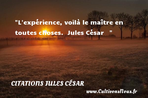 L expérience, voilà le maître en toutes choses.  Jules César    CITATIONS JULES CÉSAR - Citations Jules César
